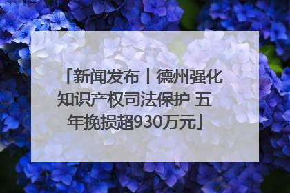新闻发布丨德州强化知识产权司法保护 五年挽损超930万元