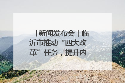 新闻发布会｜临沂市推动“四大改革”任务，提升内部审计监督效能