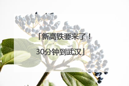新高铁要来了！30分钟到武汉