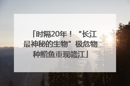 时隔20年！“长江最神秘的生物”极危物种鳤鱼重现赣江