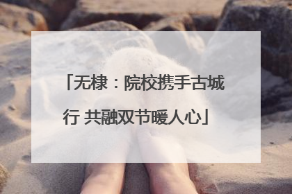 无棣：院校携手古城行 共融双节暖人心