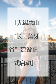 无锡惠山“长三角牙谷”建设正式启动