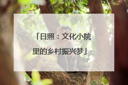 日照：文化小院里的乡村振兴梦