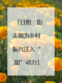 日照：街头镇为乡村振兴注入“甜”动力