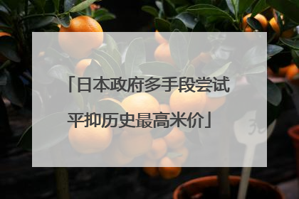 日本政府多手段尝试平抑历史最高米价
