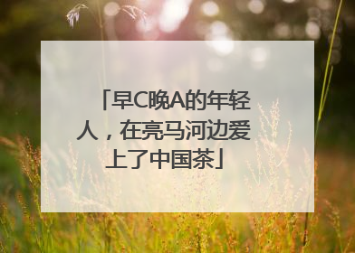早C晚A的年轻人，在亮马河边爱上了中国茶
