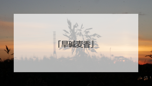 旱碱麦香