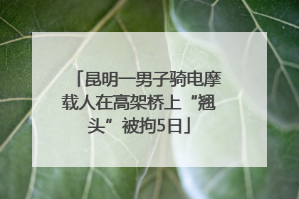 昆明一男子骑电摩载人在高架桥上“翘头”被拘5日