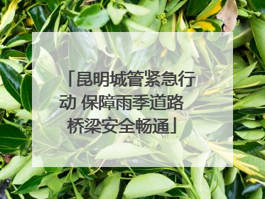 昆明城管紧急行动 保障雨季道路桥梁安全畅通