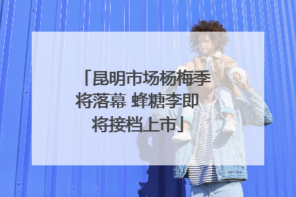 昆明市场杨梅季将落幕 蜂糖李即将接档上市