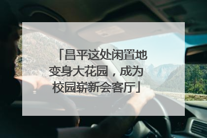 昌平这处闲置地变身大花园，成为校园崭新会客厅