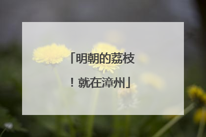 明朝的荔枝！就在漳州