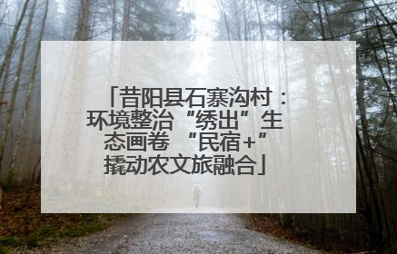 昔阳县石寨沟村：环境整治“绣出”生态画卷 “民宿+”撬动农文旅融合