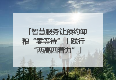 智慧服务让预约卸粮“零等待”丨践行“两高四着力”