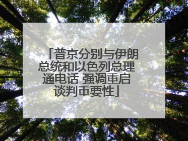 普京分别与伊朗总统和以色列总理通电话 强调重启谈判重要性