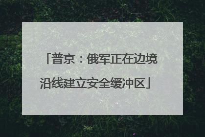 普京：俄军正在边境沿线建立安全缓冲区