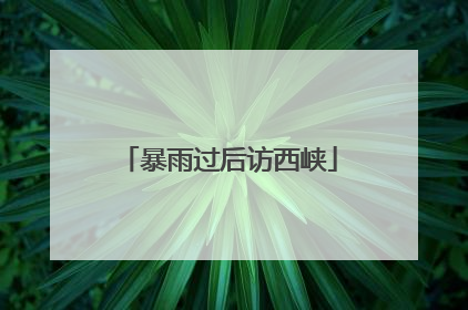 暴雨过后访西峡