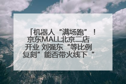 机器人“满场跑”！京东MALL北京二店开业 刘强东“等比例复刻”能否带火线下“618”？
