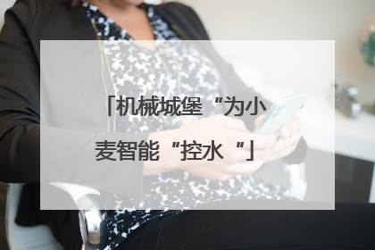 机械城堡“为小麦智能“控水“
