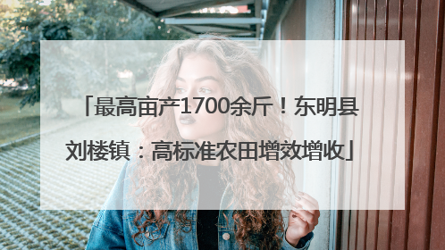 最高亩产1700余斤！东明县刘楼镇：高标准农田增效增收