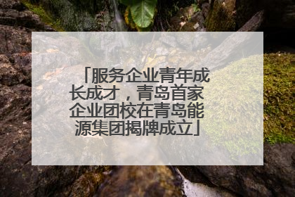服务企业青年成长成才，青岛首家企业团校在青岛能源集团揭牌成立