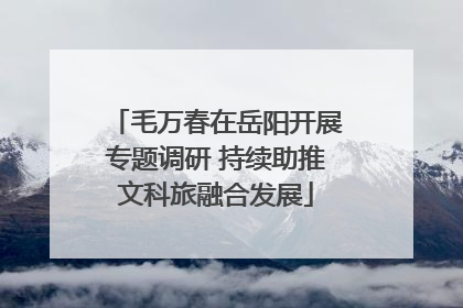 毛万春在岳阳开展专题调研 持续助推文科旅融合发展