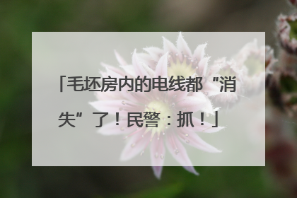 毛坯房内的电线都“消失”了！民警：抓！