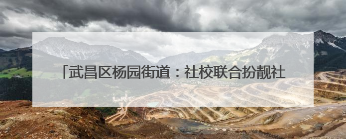 武昌区杨园街道：社校联合扮靓社区颜值 青春力量推动环保风尚