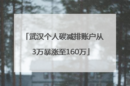 武汉个人碳减排账户从3万暴涨至160万