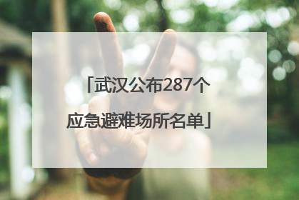 武汉公布287个应急避难场所名单