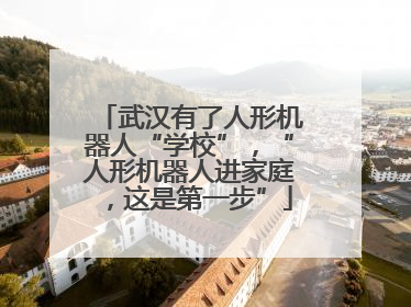 武汉有了人形机器人“学校”，“人形机器人进家庭，这是第一步”