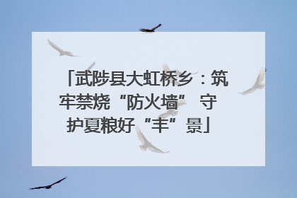 武陟县大虹桥乡：筑牢禁烧“防火墙” 守护夏粮好“丰”景