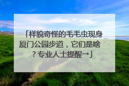 样貌奇怪的毛毛虫现身厦门公园步道，它们是啥？专业人士提醒→