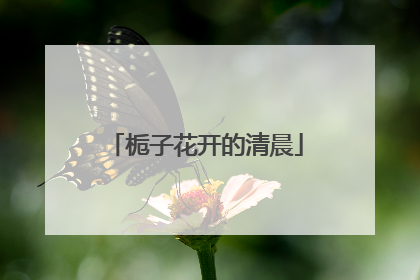 栀子花开的清晨