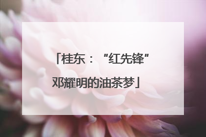 桂东：“红先锋”邓耀明的油茶梦
