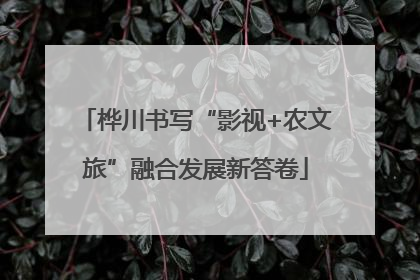 桦川书写“影视+农文旅”融合发展新答卷