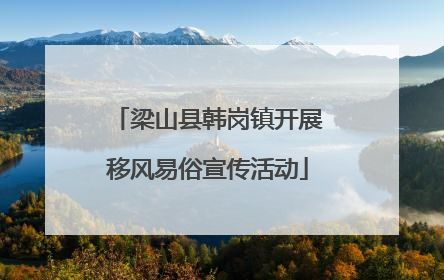 梁山县韩岗镇开展移风易俗宣传活动
