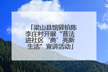 梁山县馆驿镇陈李庄村开展“普法进社区‘典’亮新生活”宣讲活动