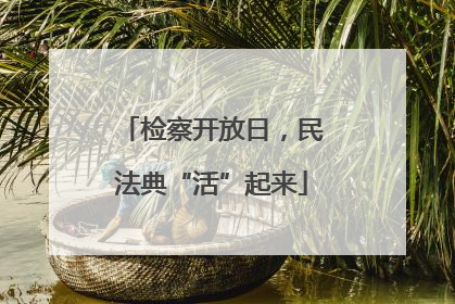 检察开放日，民法典“活”起来