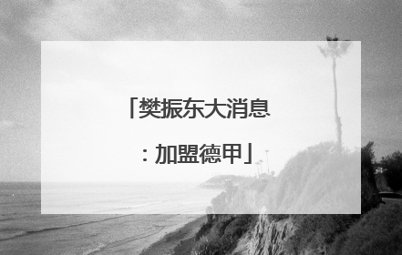 樊振东大消息：加盟德甲