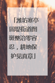 潍坊寒亭固堤街道图斑整治零容忍，耕地保护见真章