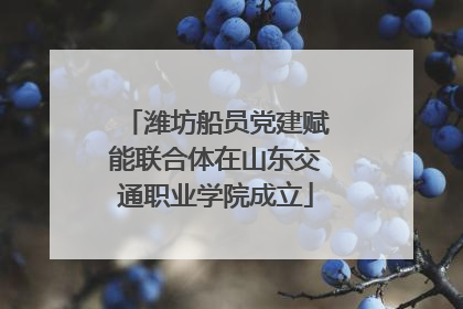潍坊船员党建赋能联合体在山东交通职业学院成立