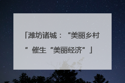 潍坊诸城：“美丽乡村”催生“美丽经济”