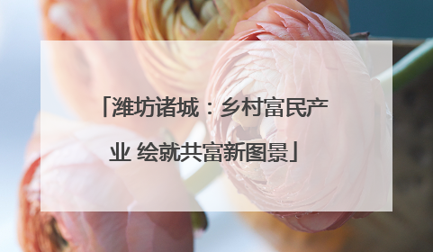 潍坊诸城：乡村富民产业 绘就共富新图景