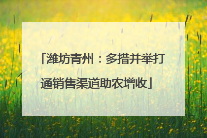 潍坊青州：多措并举打通销售渠道助农增收