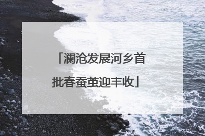 澜沧发展河乡首批春蚕茧迎丰收