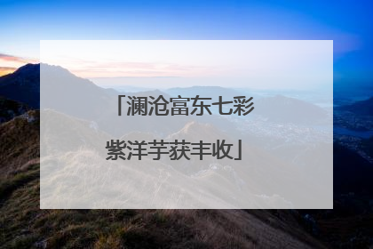澜沧富东七彩紫洋芋获丰收
