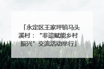 永定区王家坪镇马头溪村：“非遗赋能乡村振兴”交流活动举行