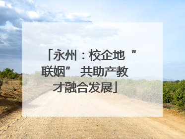 永州：校企地“联姻” 共助产教才融合发展