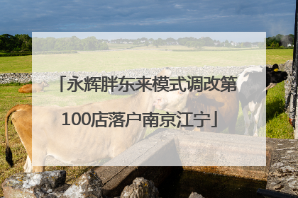 永辉胖东来模式调改第100店落户南京江宁